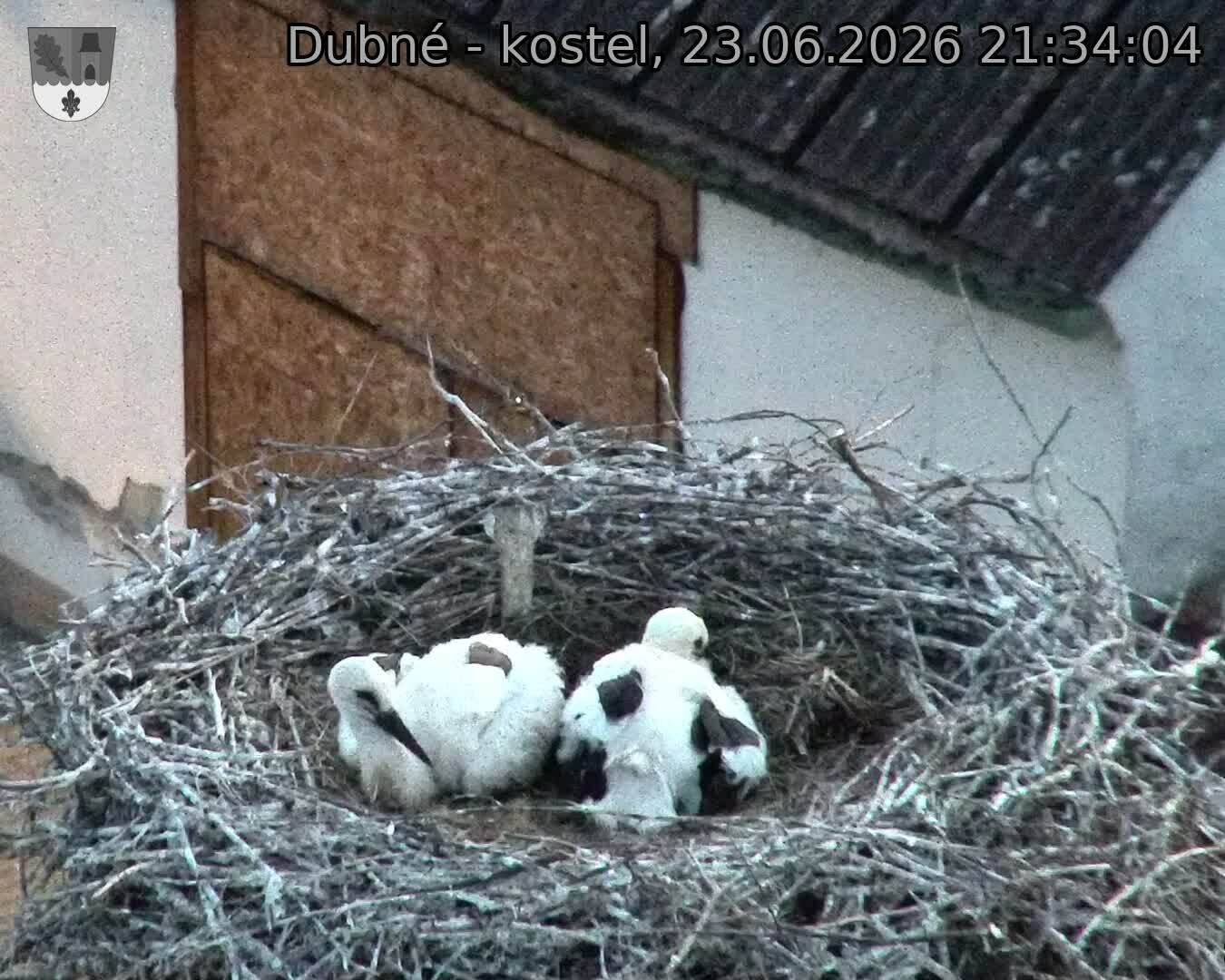 Capi_Dubne_20260623_213404.jpg (1350&nbsp;x&nbsp;1080)