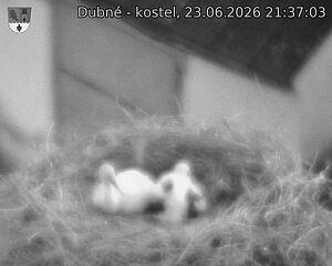 Capi_Dubne_20260623_213703.jpg (1350&nbsp;x&nbsp;1080)