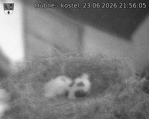 preload