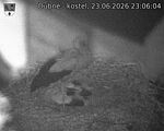 Capi_Dubne_20260623_230604.jpg