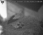 Capi_Dubne_20260623_230804.jpg