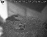Capi_Dubne_20260623_231004.jpg