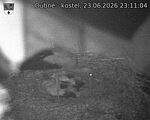 Capi_Dubne_20260623_231104.jpg
