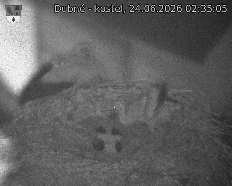 preload