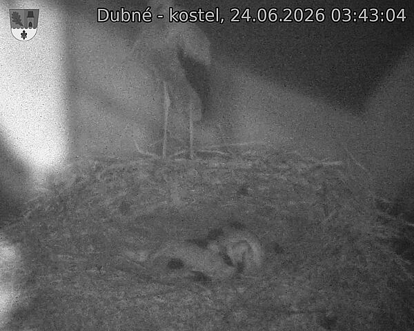 preload