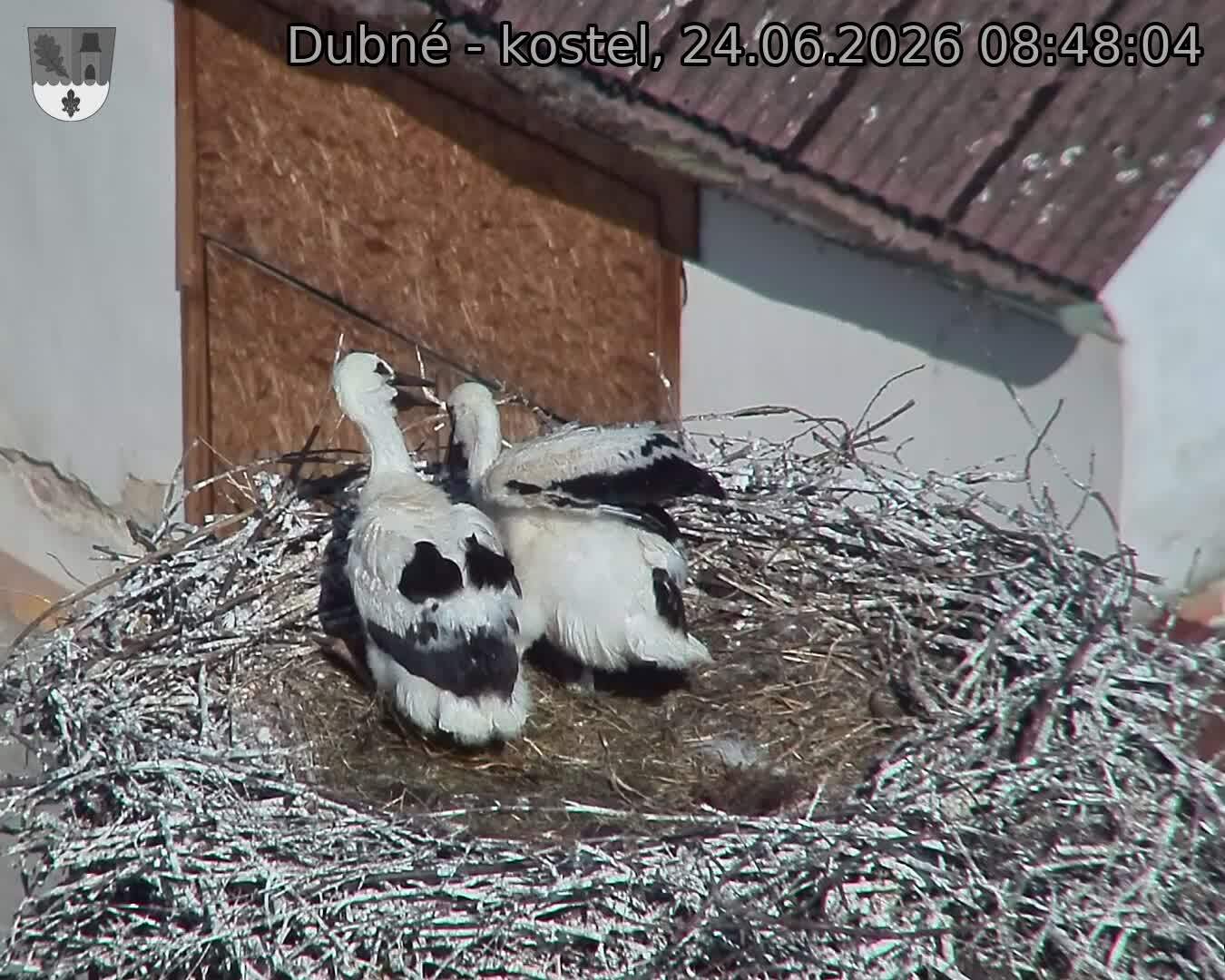 preload