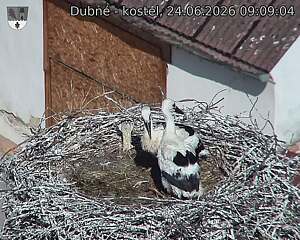 preload
