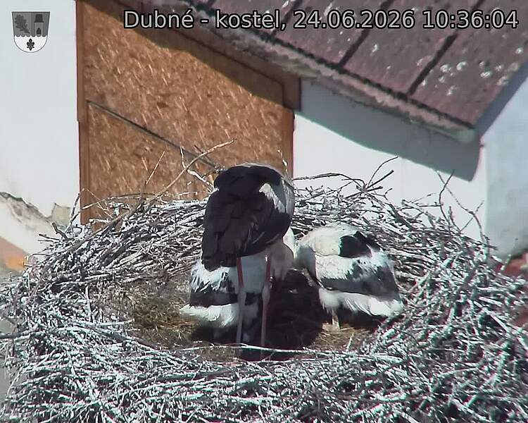 preload