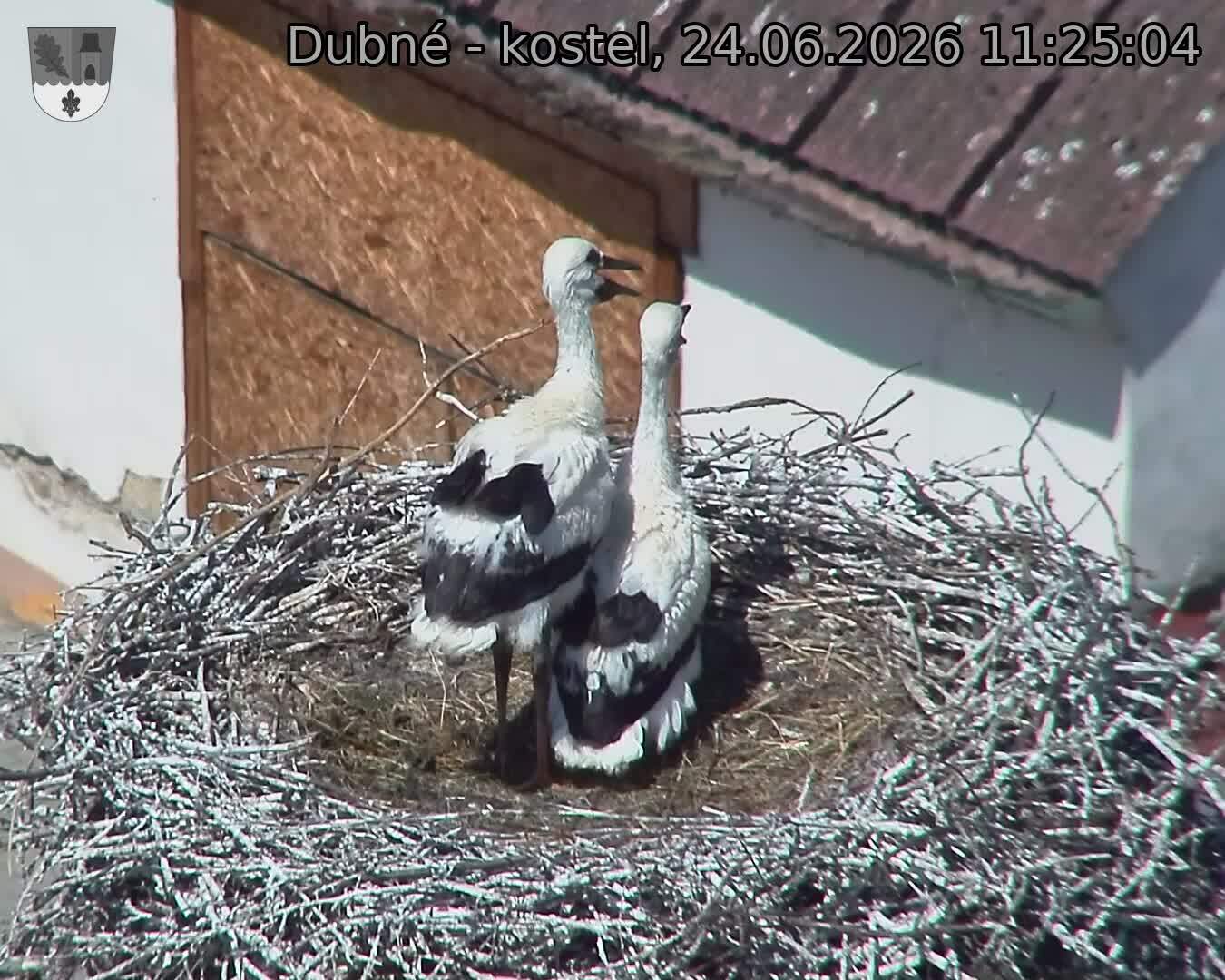 preload