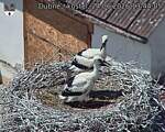 Capi_Dubne_20260624_134405.jpg