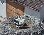 Capi_Dubne_20260624_134503.jpg