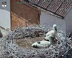 Capi_Dubne_20260624_143518.jpg