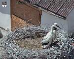 Capi_Dubne_20260624_144704.jpg