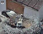 Capi_Dubne_20260624_150604.jpg