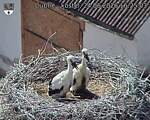 Capi_Dubne_20260624_162503.jpg