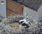 Capi_Dubne_20260624_164003.jpg