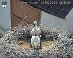 Capi_Dubne_20260624_183504.jpg