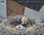 Capi_Dubne_20260624_190503.jpg
