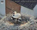 Capi_Dubne_20260624_192003.jpg