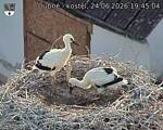 Capi_Dubne_20260624_194504.jpg