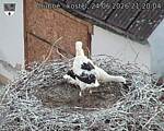 Capi_Dubne_20260624_212004.jpg