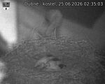 Capi_Dubne_20260625_023503.jpg