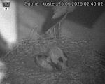 Capi_Dubne_20260625_024002.jpg