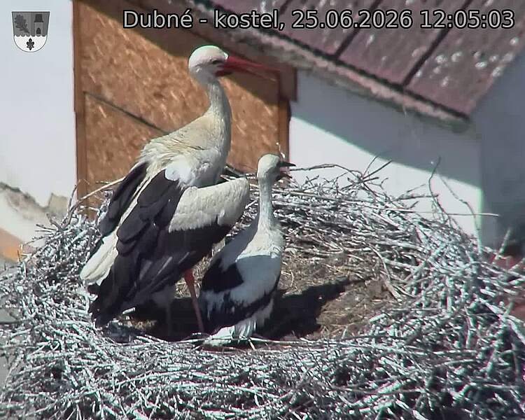 preload