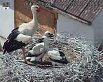 Capi_Dubne_20260625_141503.jpg