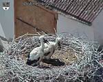 Capi_Dubne_20260625_152003.jpg