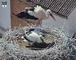 Capi_Dubne_20260625_160503.jpg
