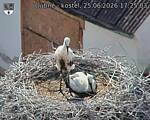 Capi_Dubne_20260625_172503.jpg