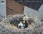 Capi_Dubne_20260625_190503.jpg