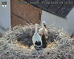 Capi_Dubne_20260625_191503.jpg