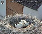 Capi_Dubne_20260625_194003.jpg