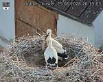Capi_Dubne_20260625_201503.jpg