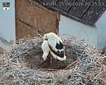 Capi_Dubne_20260625_202503.jpg