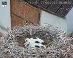 Capi_Dubne_20260625_204002.jpg
