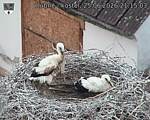 Capi_Dubne_20260625_211503.jpg