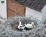 Capi_Dubne_20260625_212003.jpg