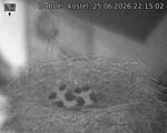 Capi_Dubne_20260625_221502.jpg