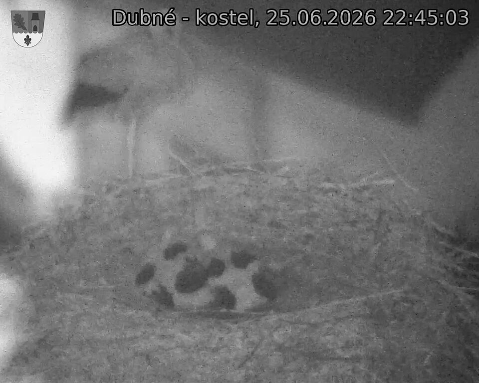 Capi_Dubne_20260625_224503.jpg (1350&nbsp;x&nbsp;1080)