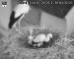 Capi_Dubne_20260626_043503.jpg