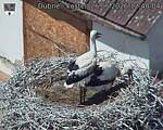 Capi_Dubne_20260626_124004.jpg