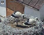 Capi_Dubne_20260626_144503.jpg