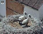Capi_Dubne_20260626_155503.jpg