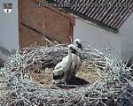 Capi_Dubne_20260626_161503.jpg