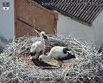 Capi_Dubne_20260626_165503.jpg