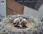 Capi_Dubne_20260626_172504.jpg