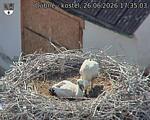 Capi_Dubne_20260626_173503.jpg